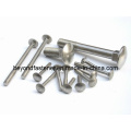 DIN603 Carriage Bolts Round Bolts Fasteners
